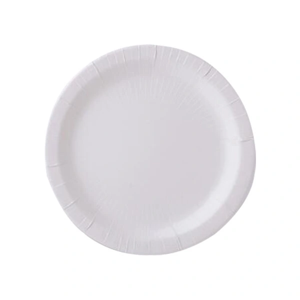 Disposable Compostable Round Square Paper Plate Party Supply