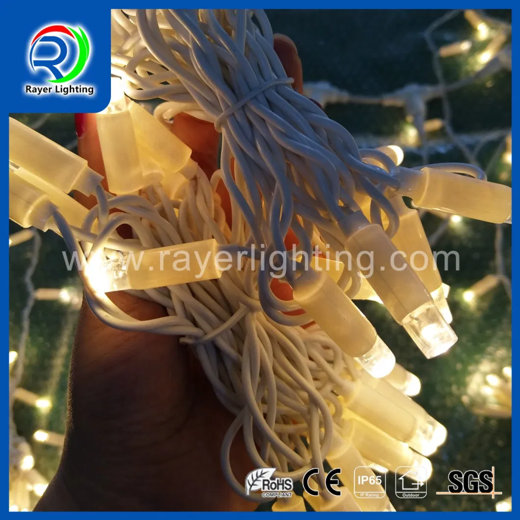 LED String Lights Party Festival Professional Christmas Decoration