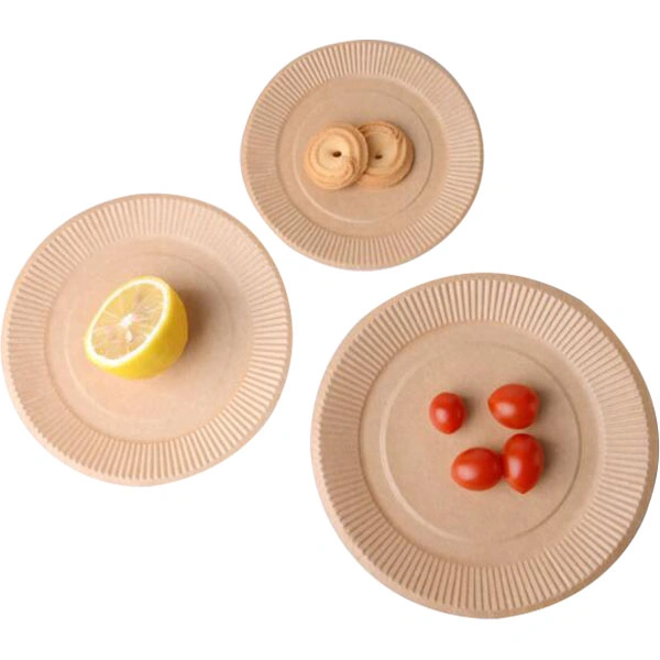 Disposable Compostable Round Square Paper Plate Party Supply